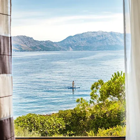 Dalmatinka - 20m From The